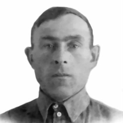 Воронов Николай Петрович